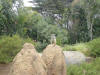 4th 048_small.jpg