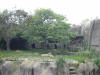 4th 078_small.jpg