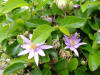 DSC00281_small.JPG