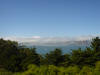 DSC00321_small.JPG