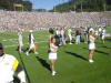 Picture 037_small1.jpg