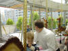 Picture 082_small.jpg