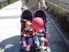 Picture 093_small.jpg