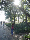 Picture 096_small2.jpg