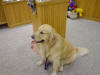 Picture 160_small.jpg