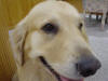 Picture 162_small.jpg