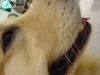 Picture 163_small.jpg