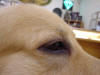 Picture 164_small.jpg