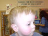 Picture 167_small.jpg