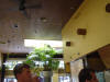 Picture 174_small.jpg