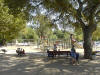 Picture 175_small.jpg