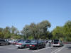 Picture 177_small.jpg