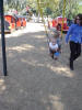 Picture 181_small.jpg