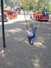 Picture 182_small.jpg