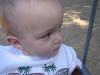 Picture 186_small.jpg