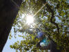 Picture 230_small.jpg