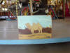 Picture 231_small.jpg