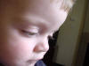Picture 255_small.jpg