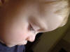 Picture 256_small.jpg