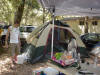 Reggae_on_the_river 104_small.jpg