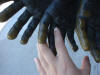 bike-franti 039_small.jpg