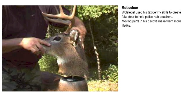 deer1.jpg