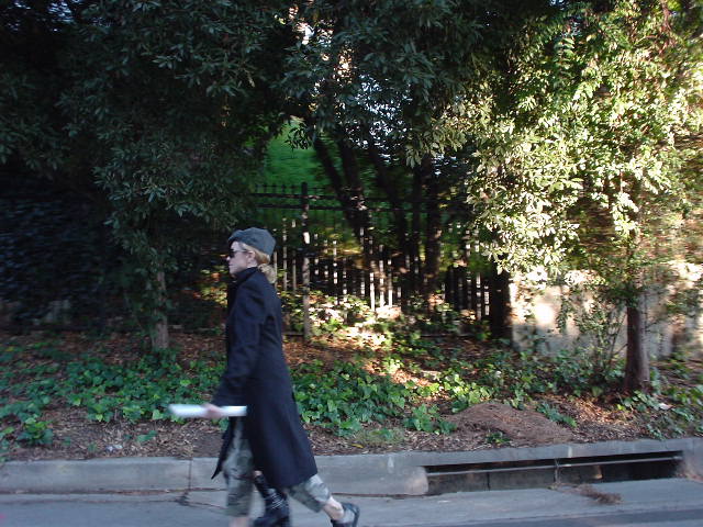 madonna1.jpg