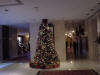 ny03 018_small.jpg
