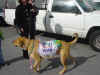 peace 011_small.jpg