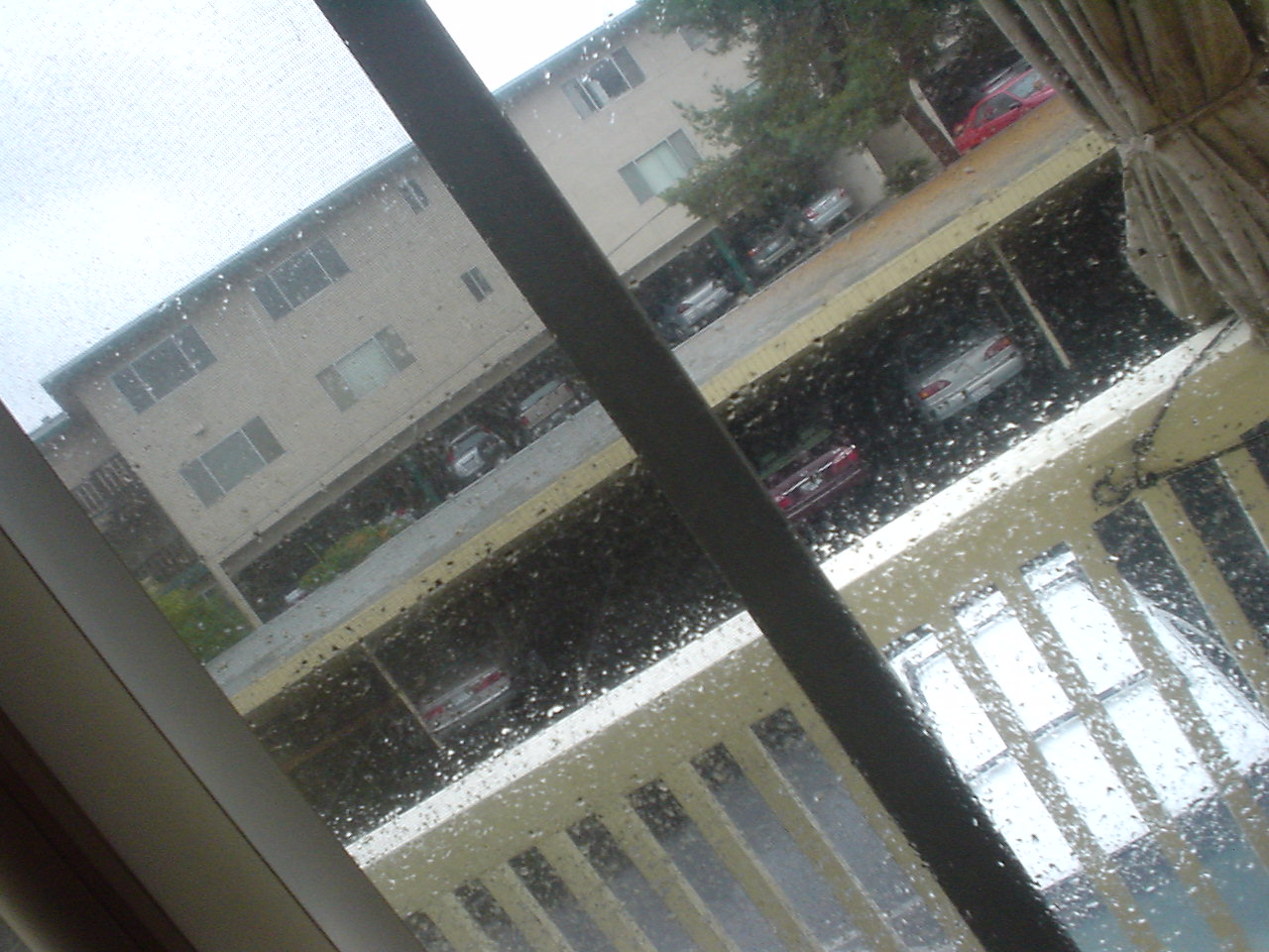 rain 003.jpg