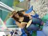 reggae 035_small.jpg