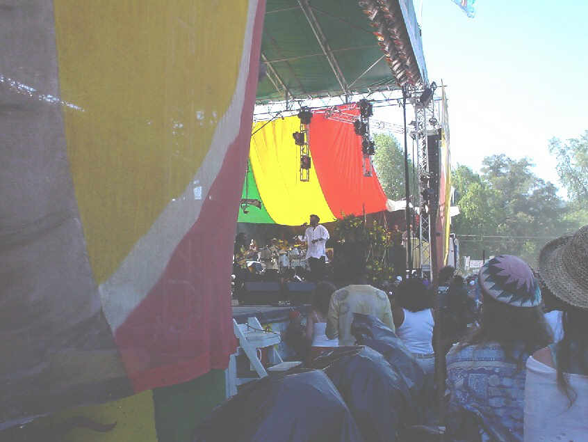 reggae3.jpg