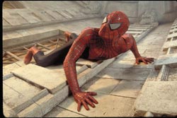 spidey_wallcrawl.jpg