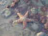 xmas 014_small.jpg