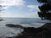 xmas02 027_small.jpg