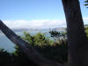 Picture 369_small.jpg